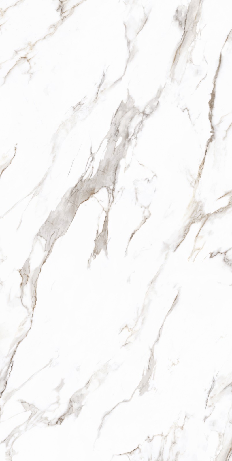 placeholder image-sq